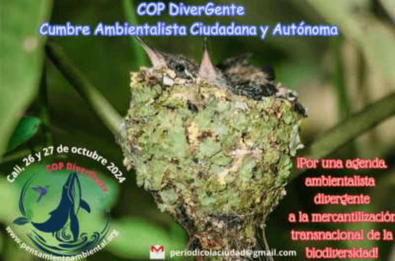 Manifiesto COP DiverGente